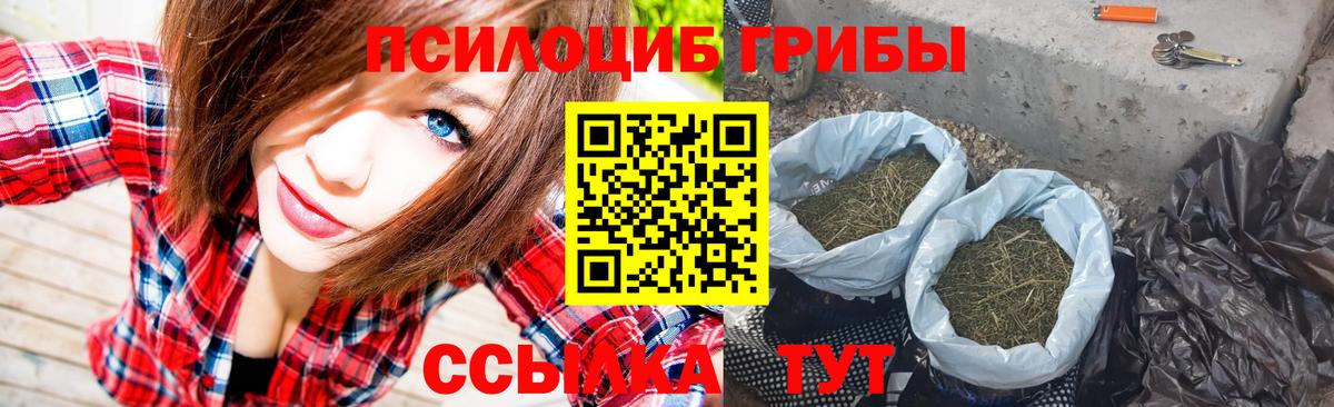 Тихвин  Псилоцибиновые грибы мухоморы  Галлюциногенные грибы Psilocybe  Вход с VPN 